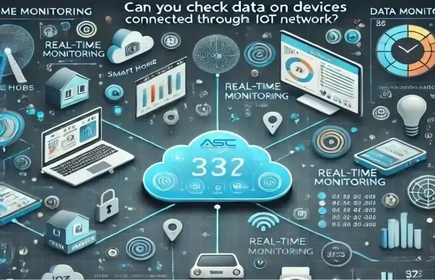 What Are Two Major Concerns Regarding IoT Devices?